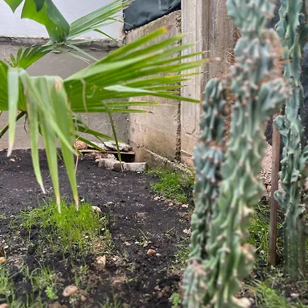 Apartamento Garden House-sana özel Bahçeli Ev Fethiye